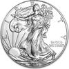 USA Eagle 2013 1 ounce silver -