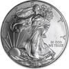 USA Eagle 2010 1 ounce silver -