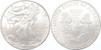 USA Eagle 2008 1 ounce silver -