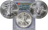 USA SILVER-EAGLE-DOLLAR 13125-3 -