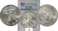 USA EAGLE-SILVER-DOLLAR 14123-13 -