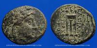 GREEK COINS Bronze Royaume de Syrie. Antiochus II Théos (264-246 AC). . Tralles (?) -