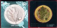 Germania Mint 5 Mark Silber Farbauflage OAK LEAF 12 Months - August -