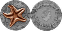 Niue 2 Dollars STARFISH World of Fossils 2 Oz Silver Coin 2$ Niue 2019 -