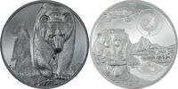 Mongolia 50 Cedis BROWN BEAR Growing Up 5 Oz Silver Coin 50 Cedis Ghana 2024 -