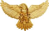 Cameroon 2000 Francs USA BALD EAGLE Gilded 2 Oz Silver Coin 2000 Francs Cameroon 2025 -