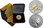Australia 1 Dollar Kangaroo 2007 Selectively Gold Plated RARE -