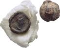 Ionien Ephesos Tessera Siegel -