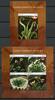 Briefmarken Palau Fleischfressende Pflanzen Carnivorous Plants Postfrisch MNH -