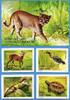 Briefmarken 2011 Vietnam Tiere Ba-Be Nationalpark Goldkatze 3574-3578 Bl... 96.03 元 含税 ＋  37.58 元 运费