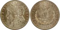 USA 1 Morgan Dollar 1921 Philadelphia Vorzüglich 334.69 元 含税 ＋  167.34 元 运费