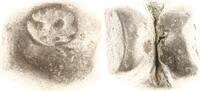 Thailand (Siam) 1/8 Baht Rama III. (Phra Nang Klao Chaoyuhua) 1824-1851. -