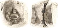 Thailand (Siam) 1/8 Baht 1851-1868 Rama IV. (Phra Chom Klao 'Mongkut') 1... 125.51 元 含税 ＋  83.67 元 运费