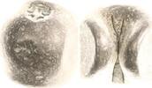 Thailand (Siam) Rama III. (Phra Nang Klao Chaoyuhua) 1824-1851. -