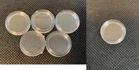 5 x Capsule Capsules Airtight für 1 Gram Coins -