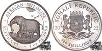 Somalia 100 Shillings 100 Shillings 2022 - Elefant - Somalia -