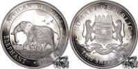 Somalia 1000 Shillings 1000 Shillings 2022 - Elefant - Somalia -