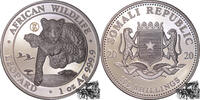Somalia 100 Shillings 100 Shillings 2020 - Leopard, Somalia, Priy W16 -