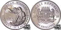 Somalia 100 Shillings 100 Shillings 2016 - Elefant, Privy W16 -