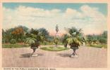USA Boston Gardens vintage postcard -
