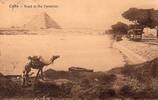 Egypt Cairo Pyramids Egyptian vintage postcard -