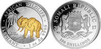 Somalia 100 Shillings<br>1 oz.<br>Ø 39 mm Elefant 14. Ausgabe, 999er Silber, <b>vergoldet</b> <b>sofort lieferbar !!!</b> -