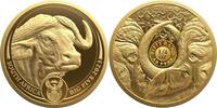Südafrika 50 Rand 1/4 oz Gold Coin Big Five Series II - Buffalo -