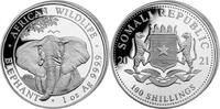 Somalië Somalië 2021 100 Shillings 1 Ounce zilver Olifant -