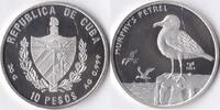 Cuba Cuba 2004 10 Pesos 'Wild Life-Murphy stormvogel (petrel)' Zilver -
